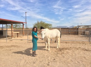 With one of the horses