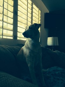 Big Brother, patiently waiting