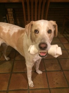 Big brother is ready!