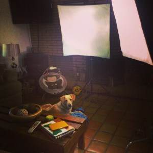 Pooch is camera ready! 