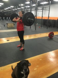 Tuti was my workout buddy this week!